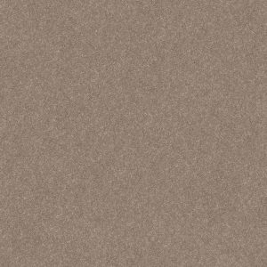 Shaw Floors Retail SMOOTH TALK I - 00700 BUFFINGTON
