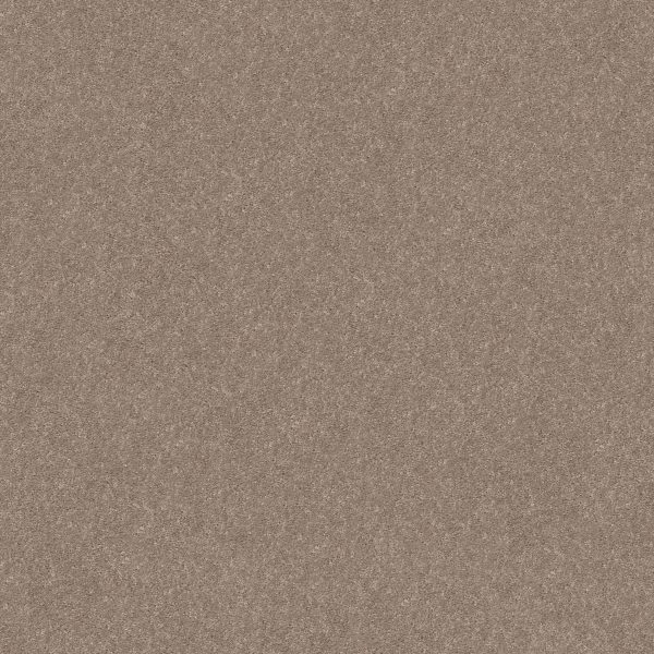 Shaw Floors Retail SMOOTH TALK I - 00700 BUFFINGTON