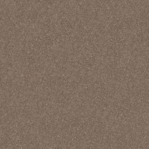 Shaw Floors Retail SMOOTH TALK I - 00701 CEDAR KEY