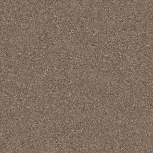 Shaw Floors Retail SMOOTH TALK I - 00701 CEDAR KEY