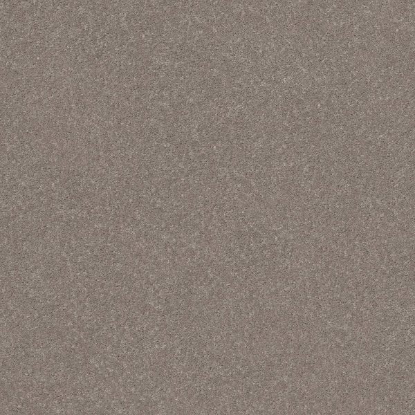 Shaw Floors Retail SMOOTH TALK I - 00702 ANEW GREY