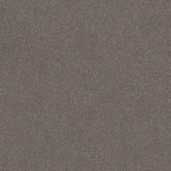 Shaw Floors Retail SMOOTH TALK I - 00703 URBAN TAUPE