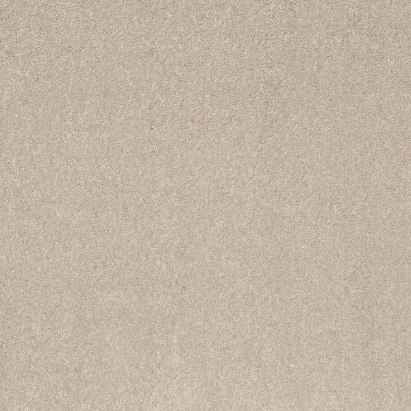 Shaw Floors Retail SMOOTH TALK II - 00102 ANGEL CLOUD