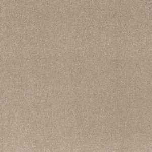 Shaw Floors Retail SMOOTH TALK II - 00107 TASSEL