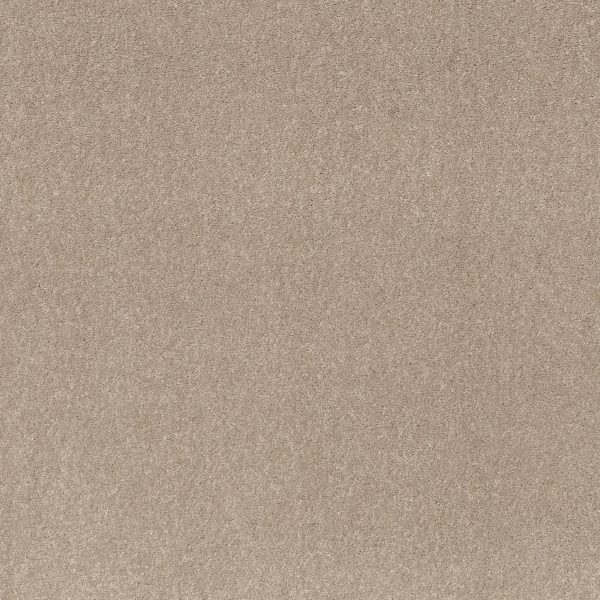 Shaw Floors Retail SMOOTH TALK II - 00107 TASSEL