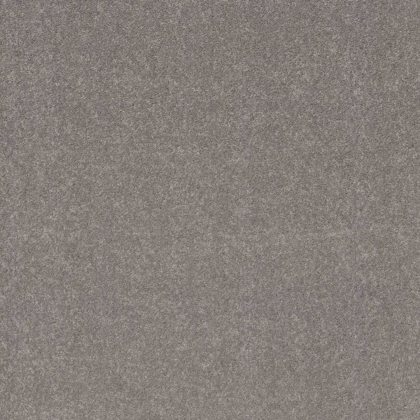 Shaw Floors Retail SMOOTH TALK II - 00501 INK SPOT