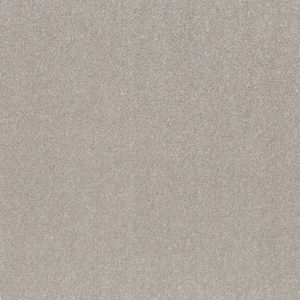 Shaw Floors Retail SMOOTH TALK II - 00540 SILVER MIST