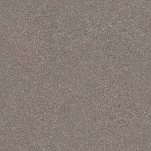 Shaw Floors Retail SMOOTH TALK II - 00702 ANEW GREY