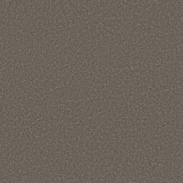 Shaw Floors Retail SMOOTH TALK II - 00703 URBAN TAUPE