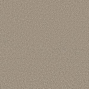 Shaw Floors Retail FEELIN' ALRIGHT - 00112 FLAX