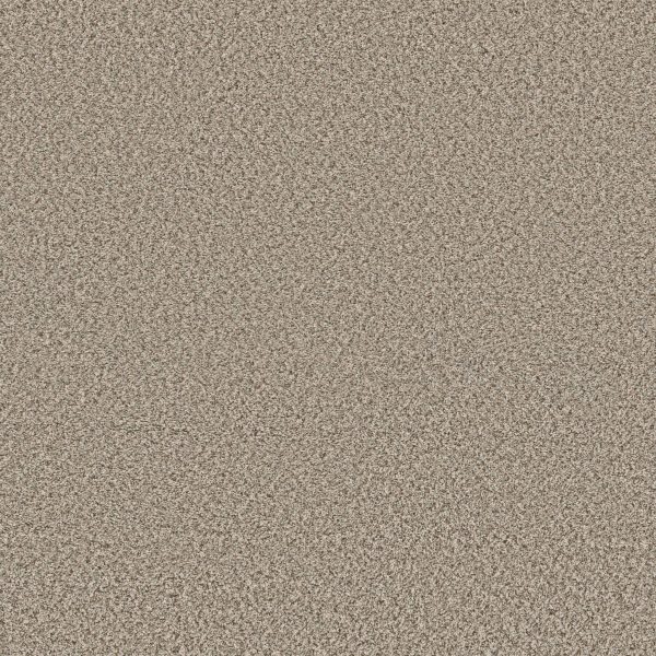 Shaw Floors Retail FEELIN' ALRIGHT - 00112 FLAX