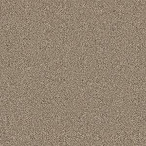 Shaw Floors Retail FEELIN' ALRIGHT - 00113 BLOND WOOD