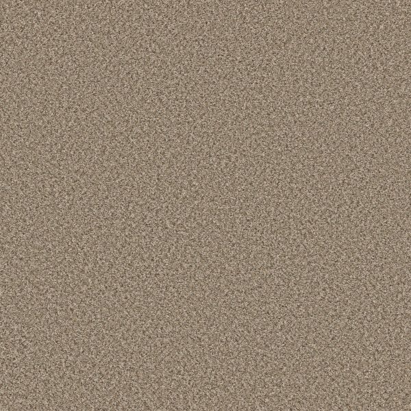 Shaw Floors Retail FEELIN' ALRIGHT - 00113 BLOND WOOD