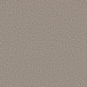 Shaw Floors Retail FEELIN' ALRIGHT - 00123 STEPPING STONE