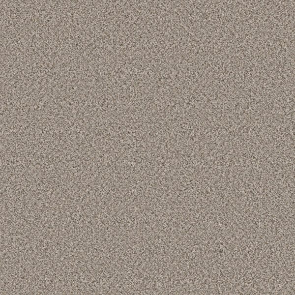Shaw Floors Retail FEELIN' ALRIGHT - 00123 STEPPING STONE