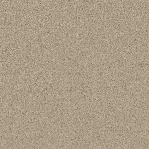 Shaw Floors Retail HIGH RANKING S - 00107 PARADISE