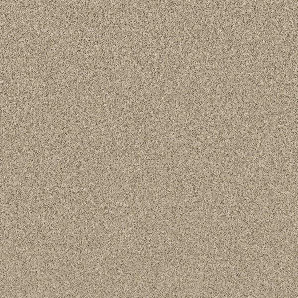 Shaw Floors Retail HIGH RANKING S - 00107 PARADISE