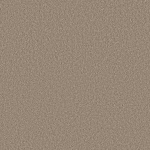 Shaw Floors Retail HIGH RANKING S - 00109 BROADSTREET