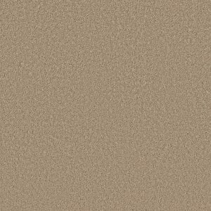 Shaw Floors Retail HIGH RANKING S - 00110 MYSTIC GOLD