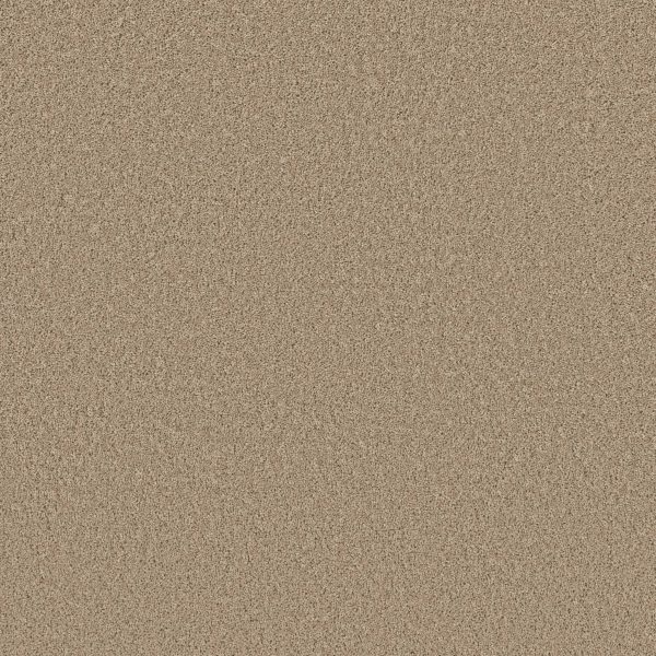 Shaw Floors Retail HIGH RANKING S - 00110 MYSTIC GOLD