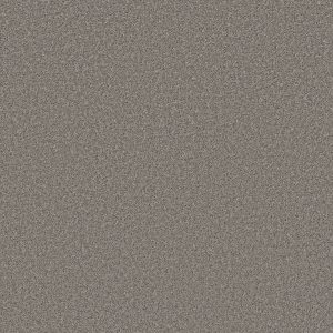 Shaw Floors Retail HIGH RANKING S - 00504 SKYLINE