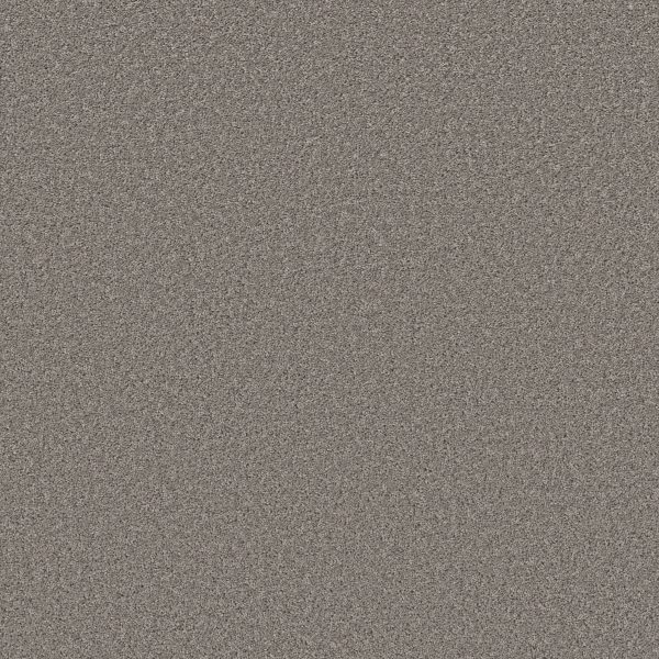 Shaw Floors Retail HIGH RANKING S - 00504 SKYLINE