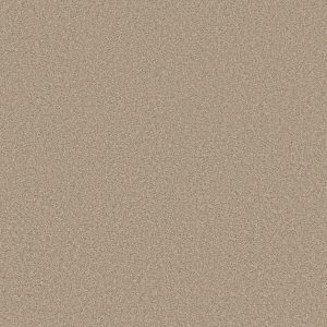 Shaw Floors Retail HIGH RANKING TNL - 00110 SUNLIT