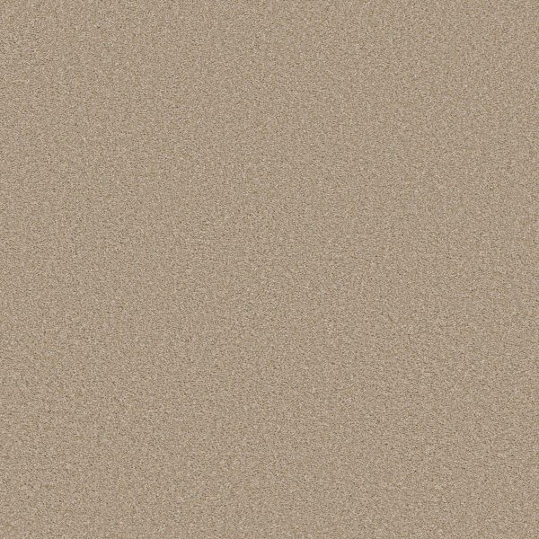 Shaw Floors Retail HIGH RANKING TNL - 00110 SUNLIT