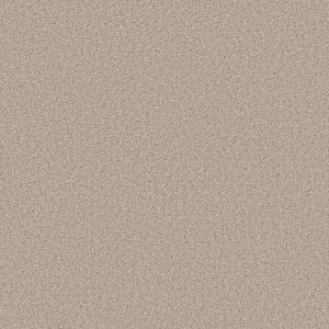 Shaw Floors Retail HIGH RANKING TNL - 00107 AURA
