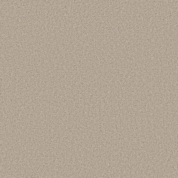 Shaw Floors Retail HIGH RANKING TNL - 00107 AURA