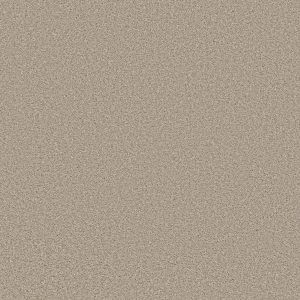 Shaw Floors Retail HIGH RANKING TNL - 00109 EVER AFTER