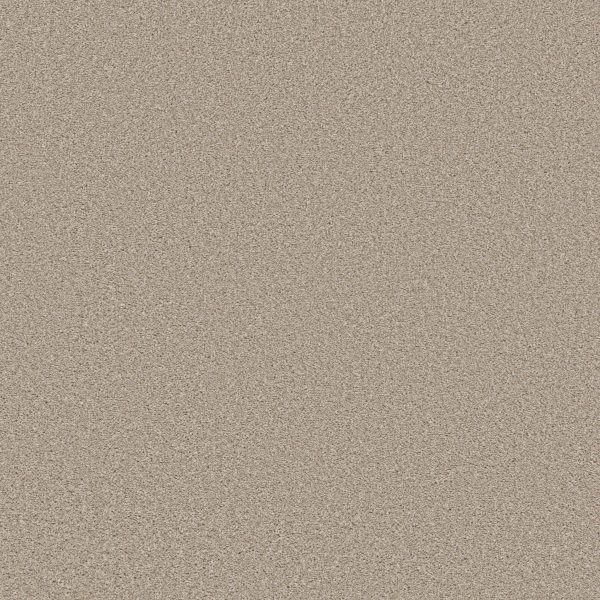 Shaw Floors Retail HIGH RANKING TNL - 00109 EVER AFTER
