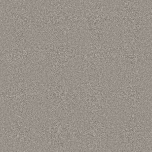 Shaw Floors Retail HIGH RANKING TNL - 00504 FRESH AIR