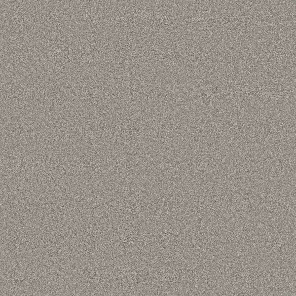 Shaw Floors Retail HIGH RANKING TNL - 00504 FRESH AIR