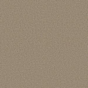 Shaw Floors Retail HIGH RANKING B - 00130 SPIRIT