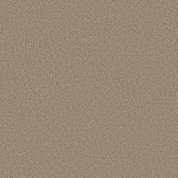 Shaw Floors Retail HIGH RANKING B - 00130 SPIRIT
