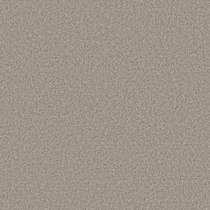 Shaw Floors Retail HIGH RANKING B - 00137 WIND'S BREATH