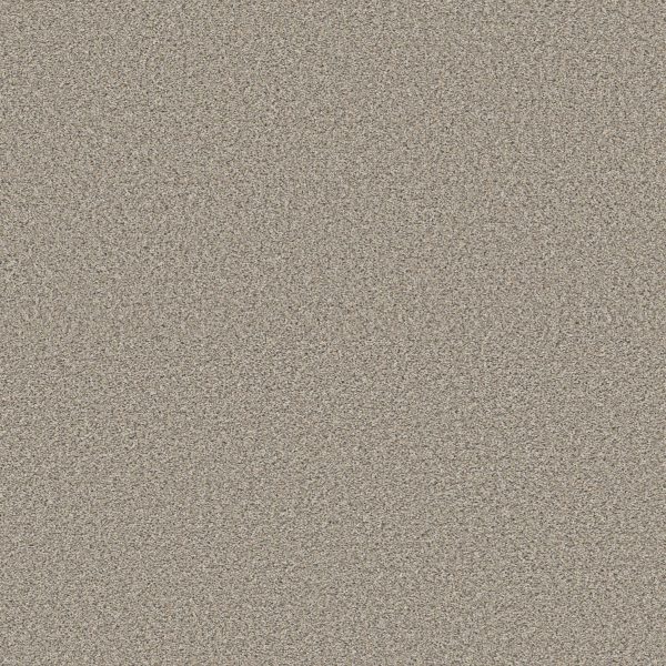 Shaw Floors Retail HIGH RANKING B - 00137 WIND'S BREATH