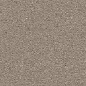 Shaw Floors Retail HIGH RANKING B - 00139 DOCKSIDE