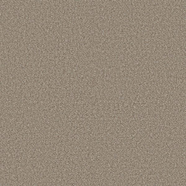 Shaw Floors Retail HIGH RANKING B - 00139 DOCKSIDE