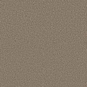 Shaw Floors Retail HIGH RANKING B - 00140 ESCAPE