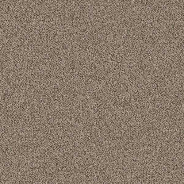Shaw Floors Retail HIGH RANKING B - 00140 ESCAPE