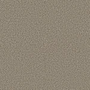 Shaw Floors Retail HIGH RANKING B - 00147 POINT BEACH