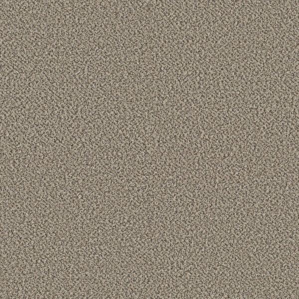Shaw Floors Retail HIGH RANKING B - 00147 POINT BEACH