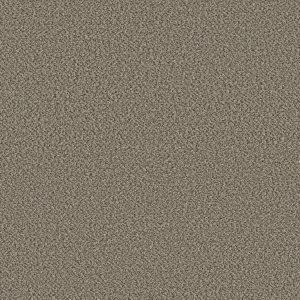 Shaw Floors Retail HIGH RANKING B - 00149 FAIRVIEW