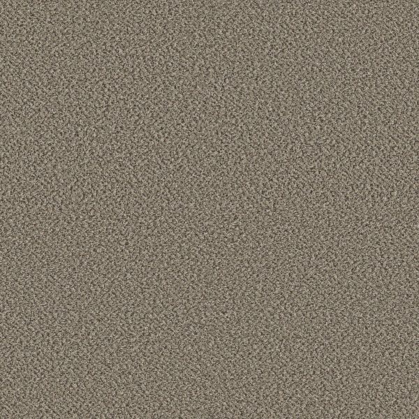 Shaw Floors Retail HIGH RANKING B - 00149 FAIRVIEW