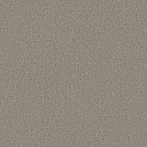 Shaw Floors Retail HIGH RANKING B - 00534 SHALLOW WATER