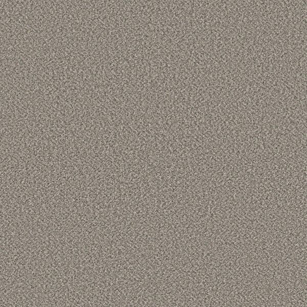 Shaw Floors Retail HIGH RANKING B - 00534 SHALLOW WATER