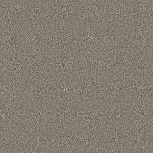 Shaw Floors Retail HIGH RANKING B - 00544 RIVER