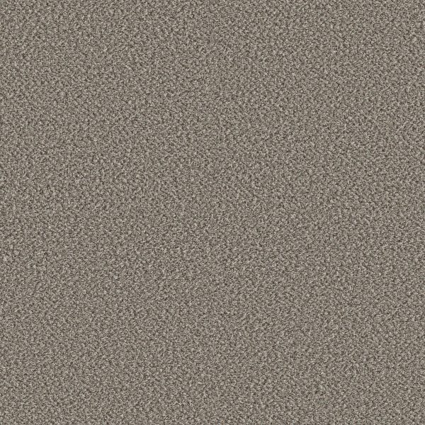 Shaw Floors Retail HIGH RANKING B - 00544 RIVER